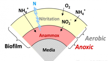 MBBR生物填料掛膜會(huì)受什么影響？